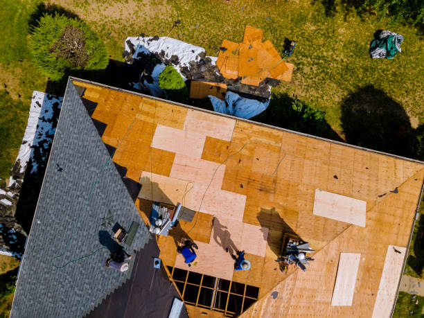 Best Metal Roofing Contractor  in Piney Mountain, VA